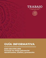 Guia Informativa NOM 035